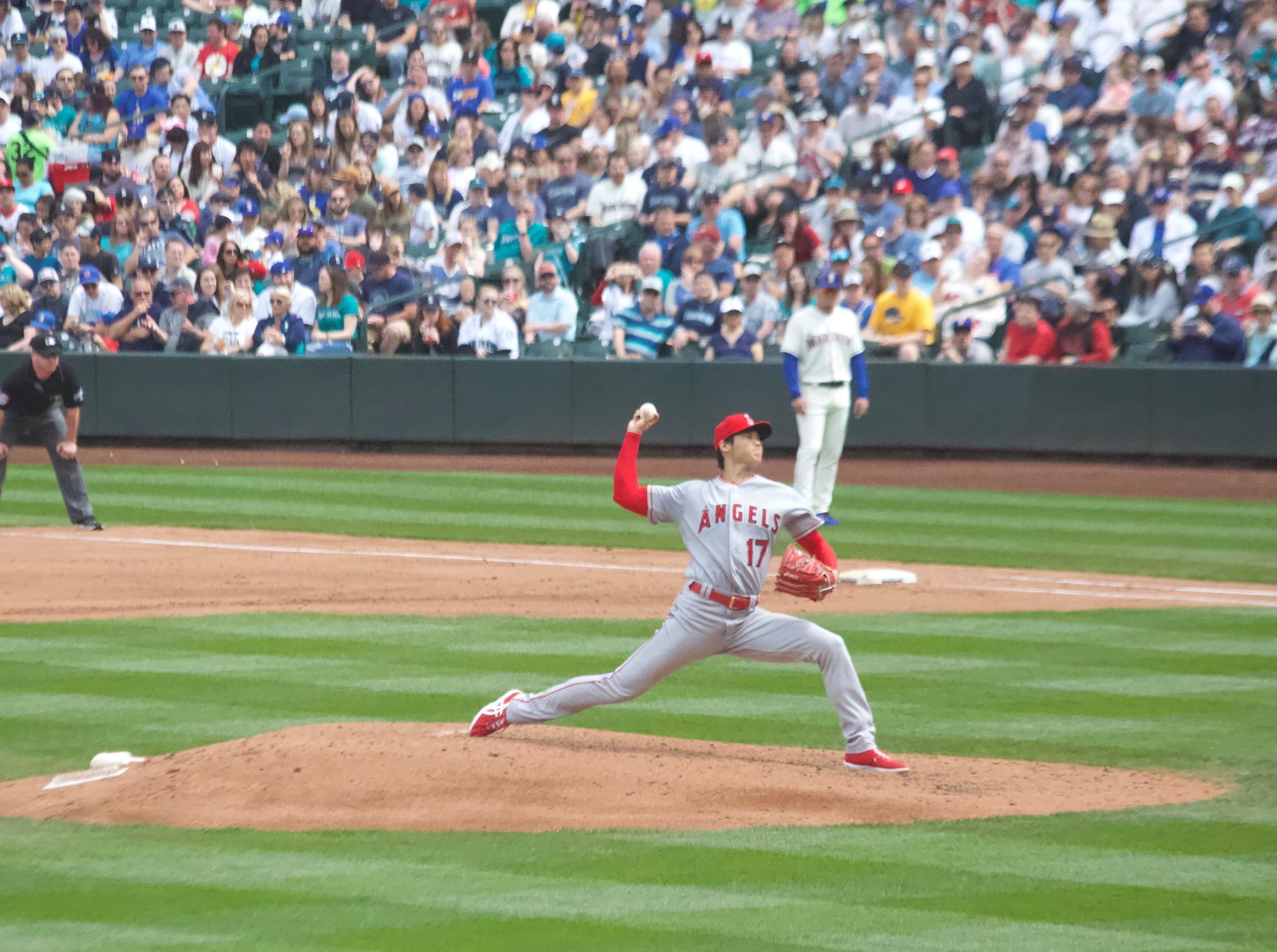 ShoheiArticlePicture