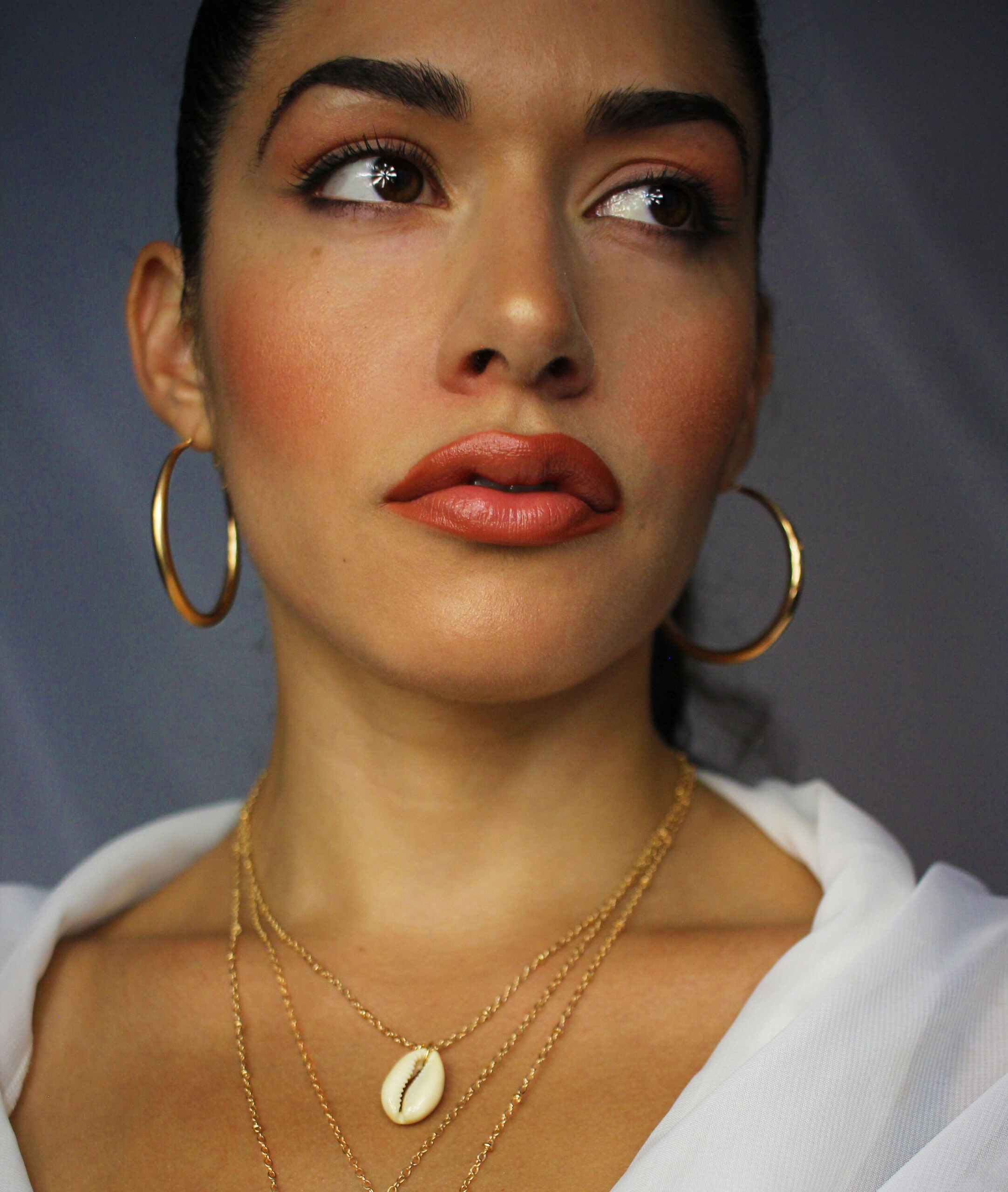 PticorStephA1croppedbright scaled