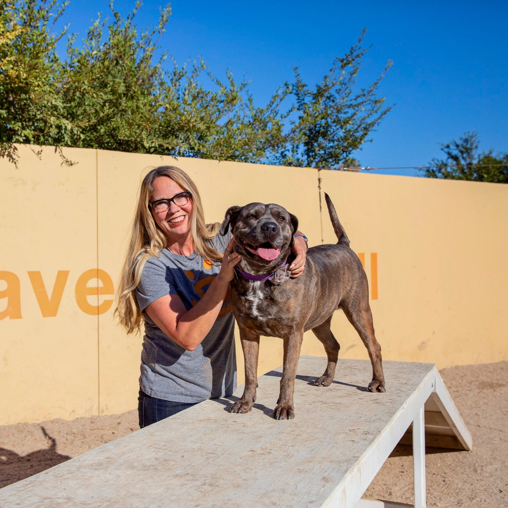 JulieCastleLA3239 LF