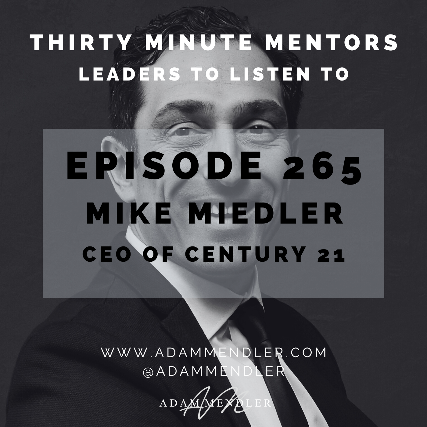 Episode265MikeMiedler