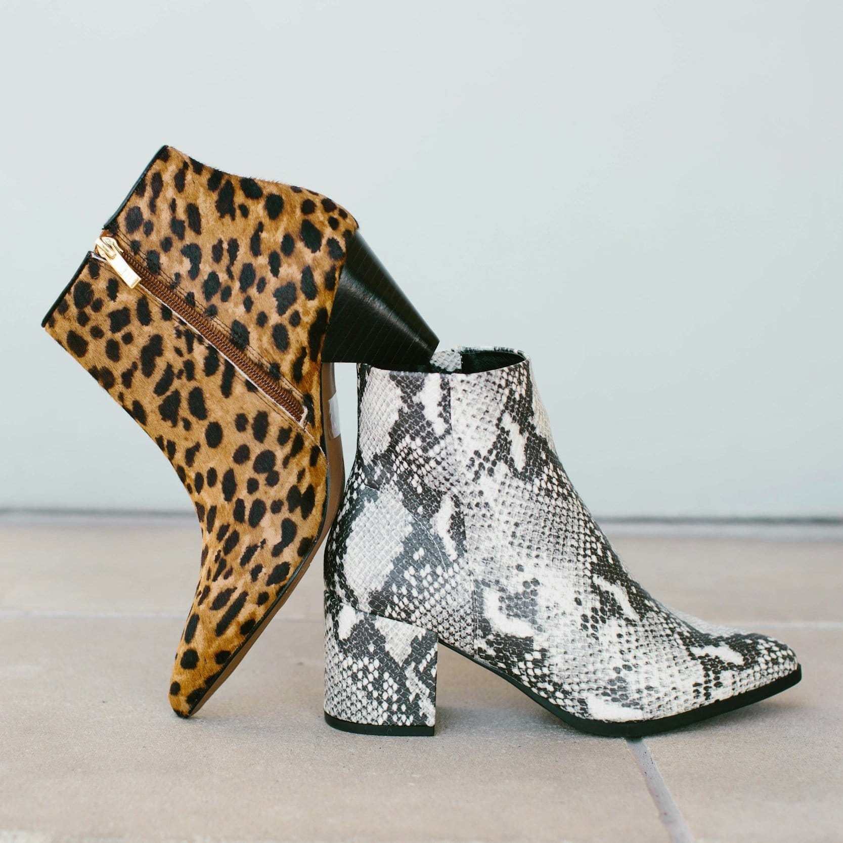 unsplash image m6mAYVEHlNs