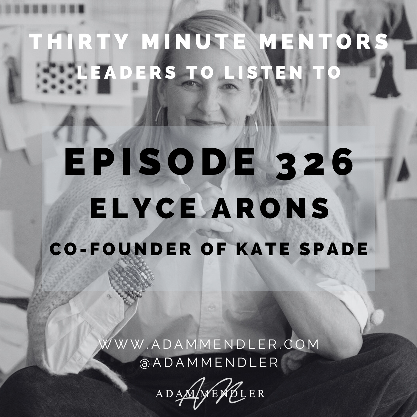 Episode 326 Elyce Arons