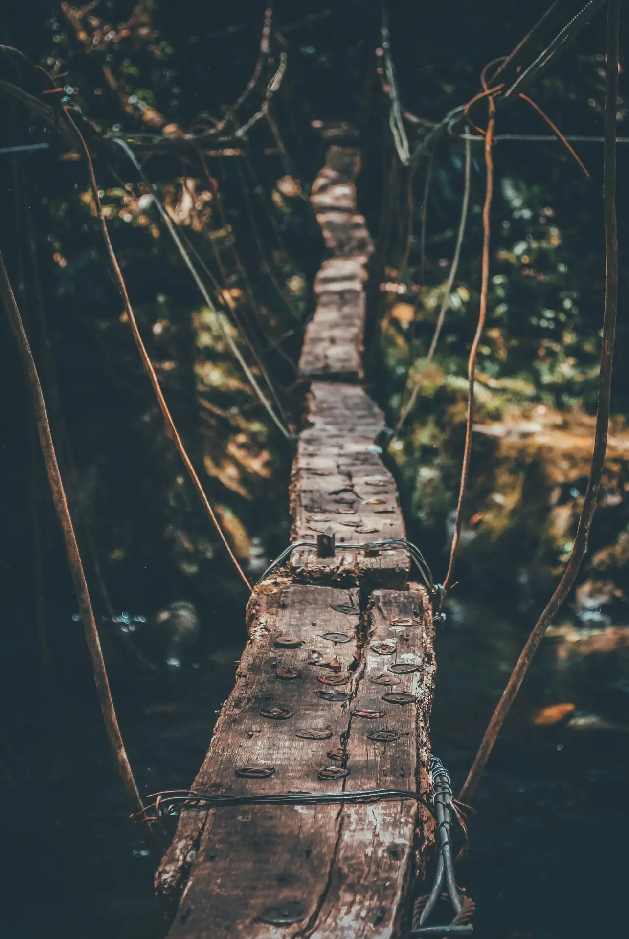 valentin betancur oSqpgc3ttRs unsplash